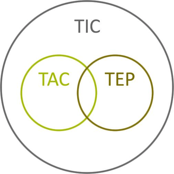 Esquema del proceso TIC-TAC-TEP en el ámbito de la ERE