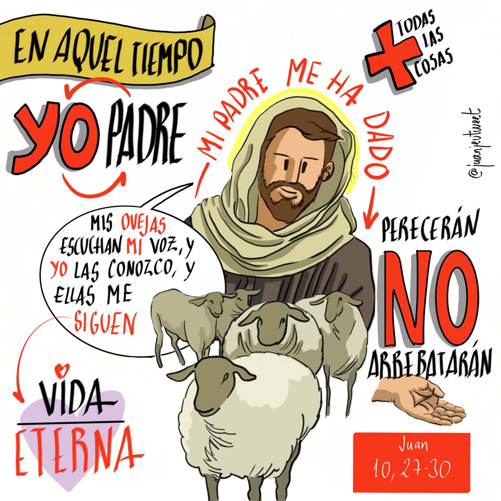 Lecturas del Domingo 4º de Pascua Ciclo C In & Out